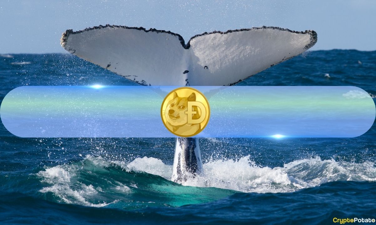 Largest-dogecoin-(doge)-whales-cut-positions-as-retail-investors-gain-ground