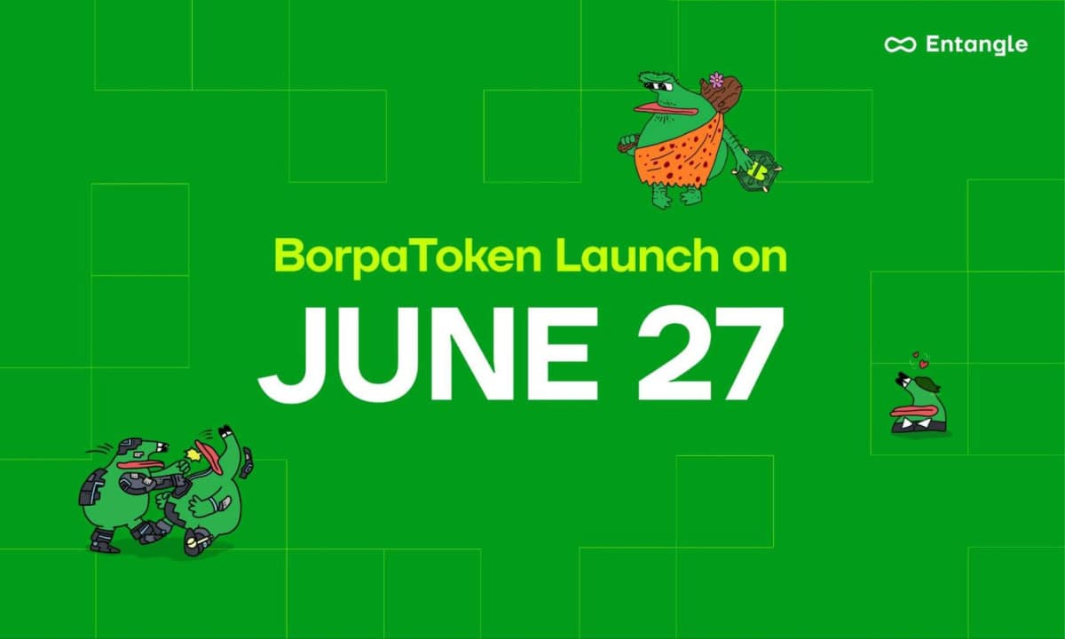 Next-generation-memecoin-project-borpa-set-to-launch-omnichain-financial-game