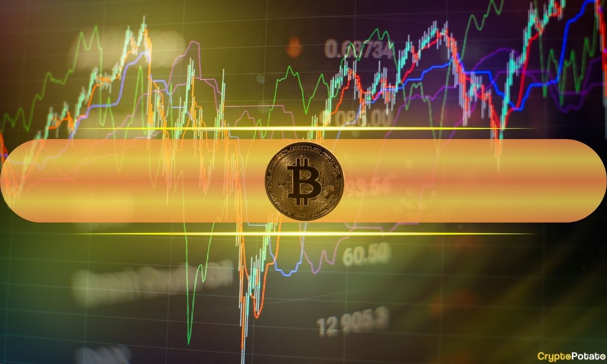 Enhanced-bitcoin-price-volatility-and-altcoins-rollercoaster:-market-watch