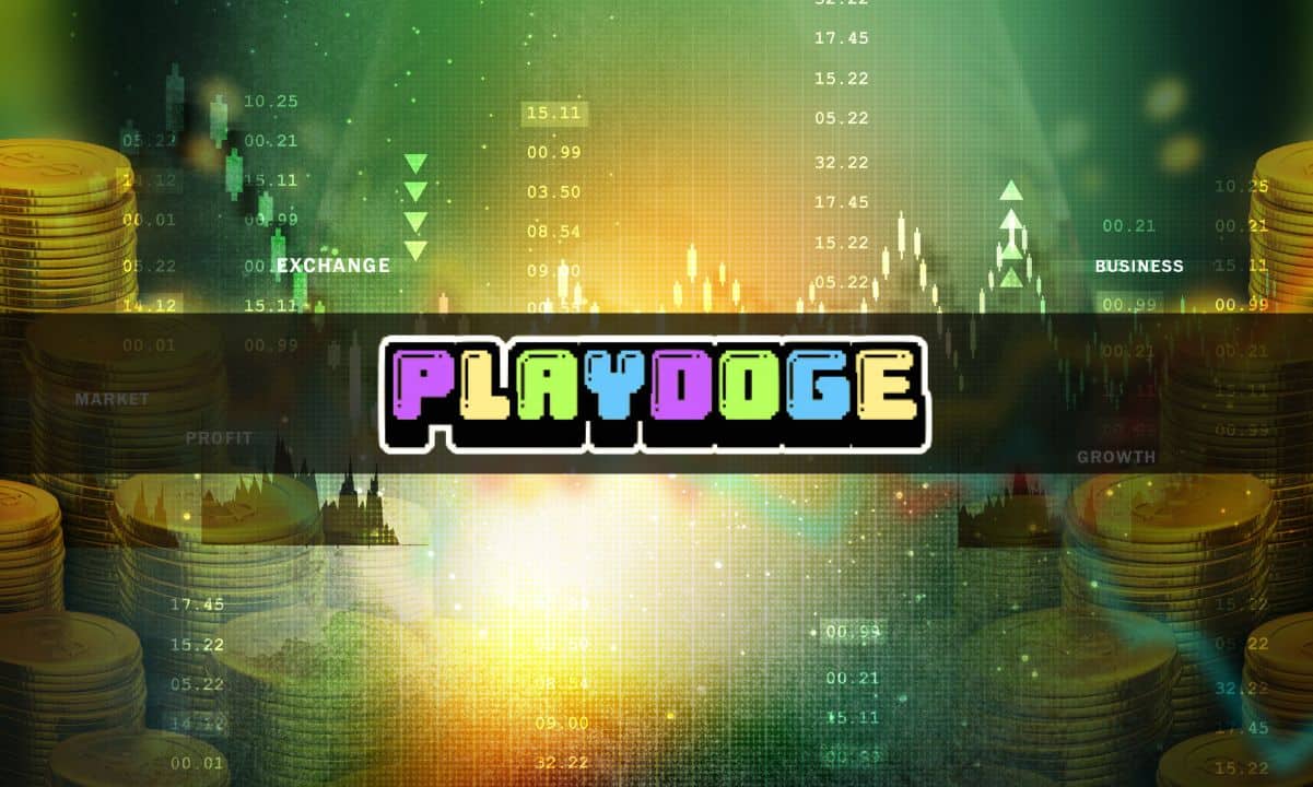 Some-crypto-gem-hunters-are-saying-playdoge-could-be-the-next-meme-coin-to-explode-as-ico-hits-$5.5m