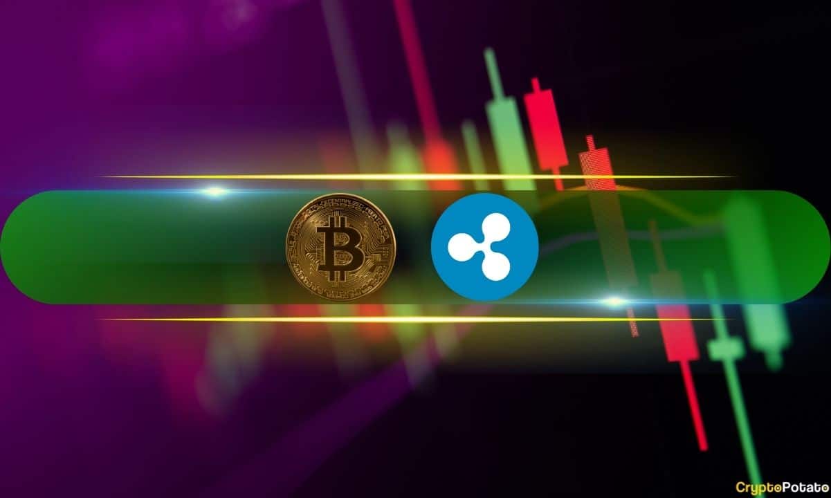 Ripple-(xrp)-skyrockets-13%-daily-to-3-month-peak,-bitcoin-(btc)-touched-$66k-(market-watch)