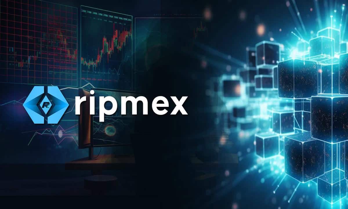 Ripmex-debuts-rpx-tokens-presale:-commission-free-trading-for-a-new-financial-era