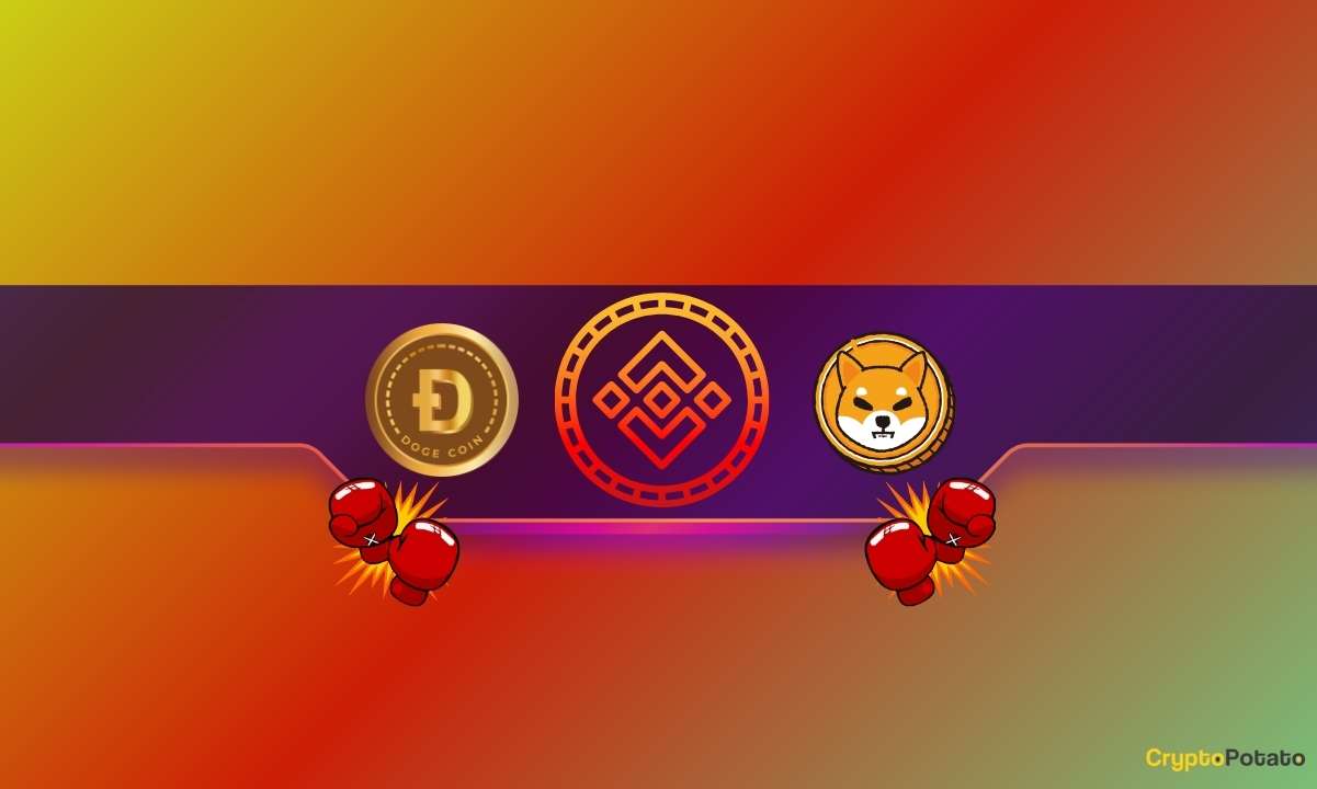 Big-binance-announcement-for-shiba-inu-(shib)-and-dogecoin-(doge)-traders:-details