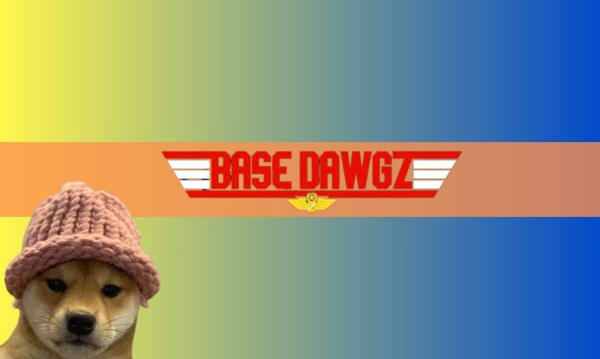 Dogwifhat-up-10%-as-base-dawgz-meme-coin-raises-$2.5m-and-some-analysts-forecast-big-gains