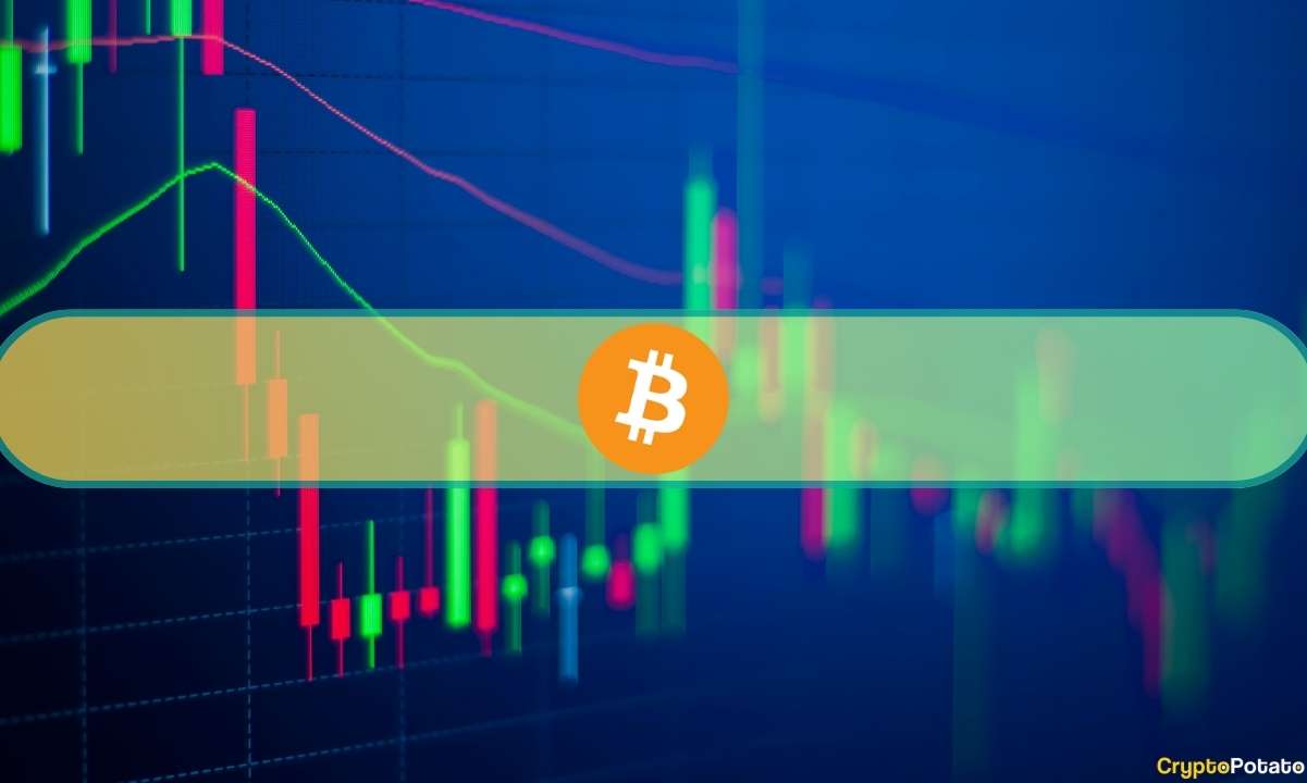 Bitcoin-pokes-above-$67k-as-altcoins-see-considerable-gains-(weekend-watch