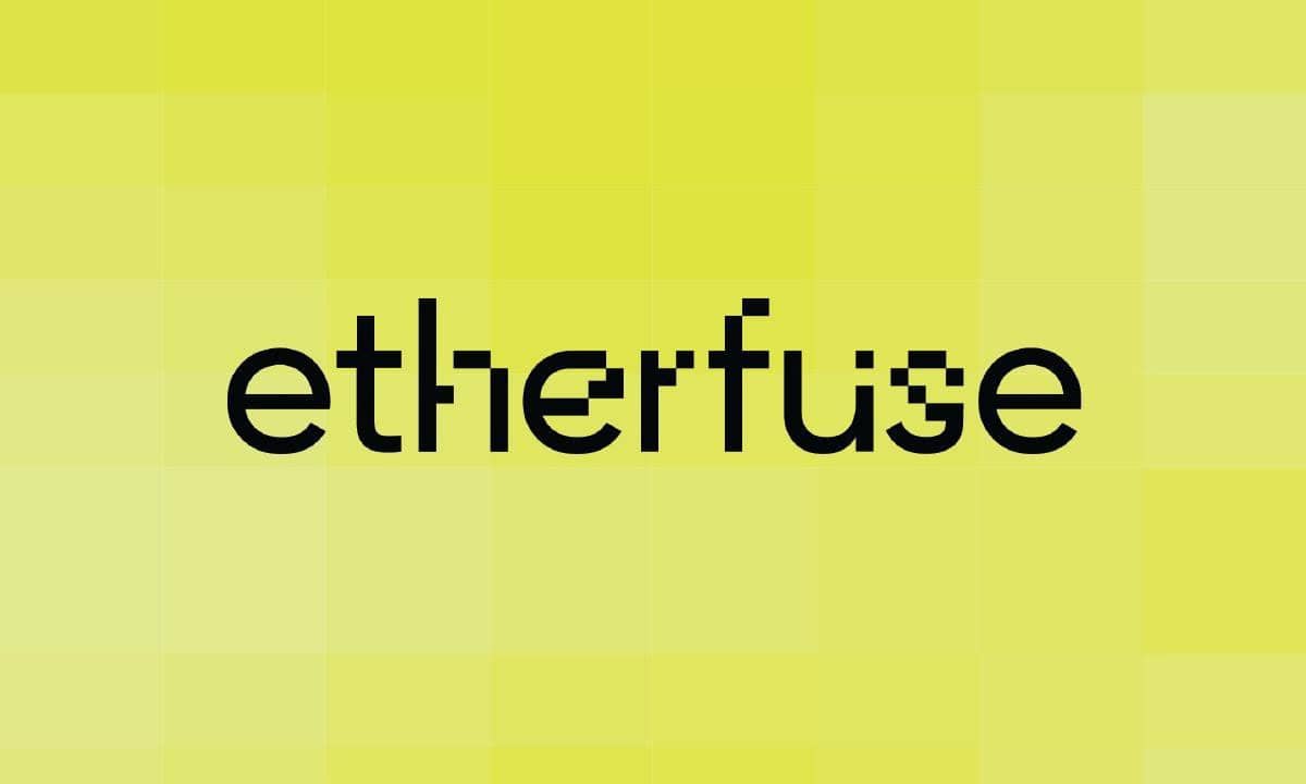 Etherfuse-raises-$3m-to-bring-emerging-market-debt-on-chain