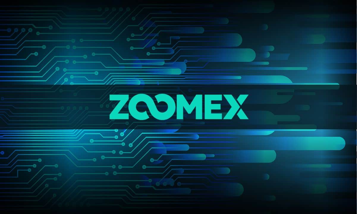 Introduction-to-zoomex:-a-newbie’s-guide