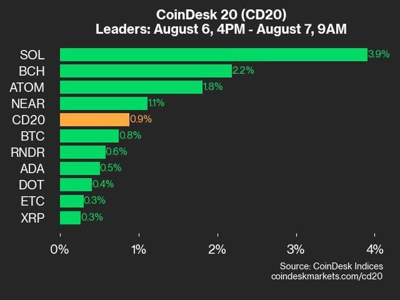 Coindesk-20-performance-update:-sol-leads-with-3.9%-gain-as-index-rebounds