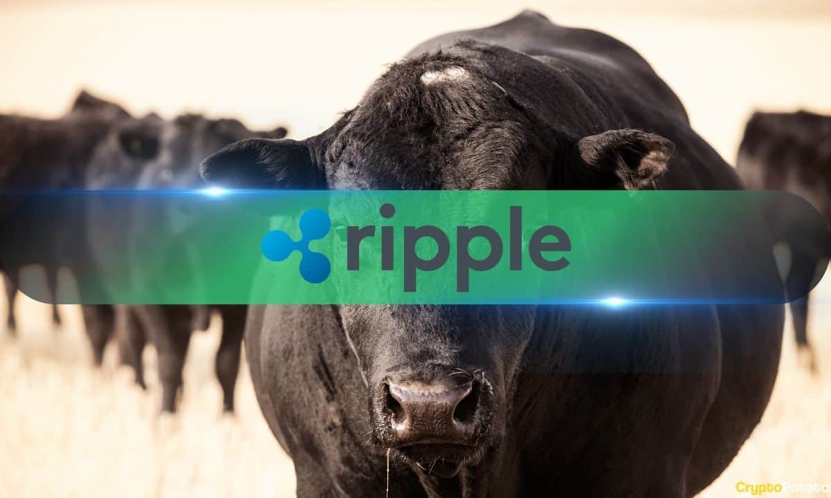 4-long-term-bull-market-signals-for-ripple-labs’-xrp