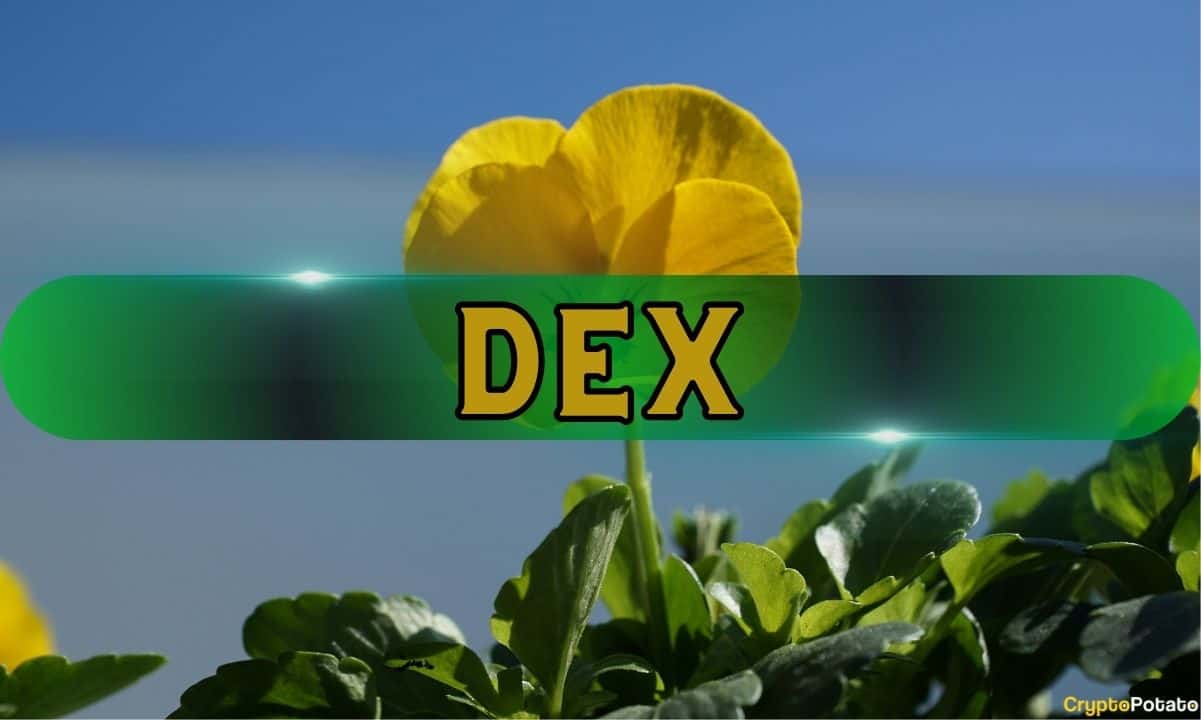 Dex-activity-surges-as-retail-investors-seek-early-access-to-tokens