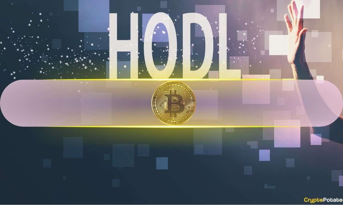 Investor-sentiment-uncertain,-yet-bitcoin’s-hodling-trends-resurface-during-market-decline