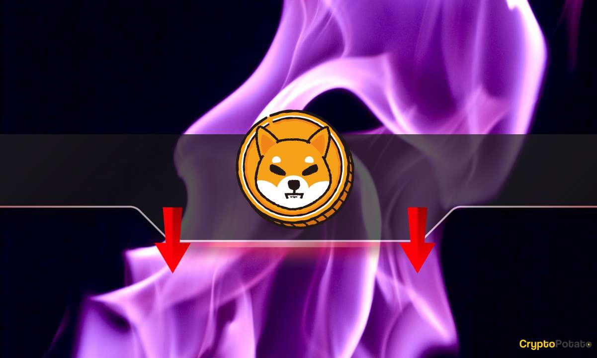 Shiba-inu-burn-rate-plummets-by-90%:-is-the-shib-price-in-danger?