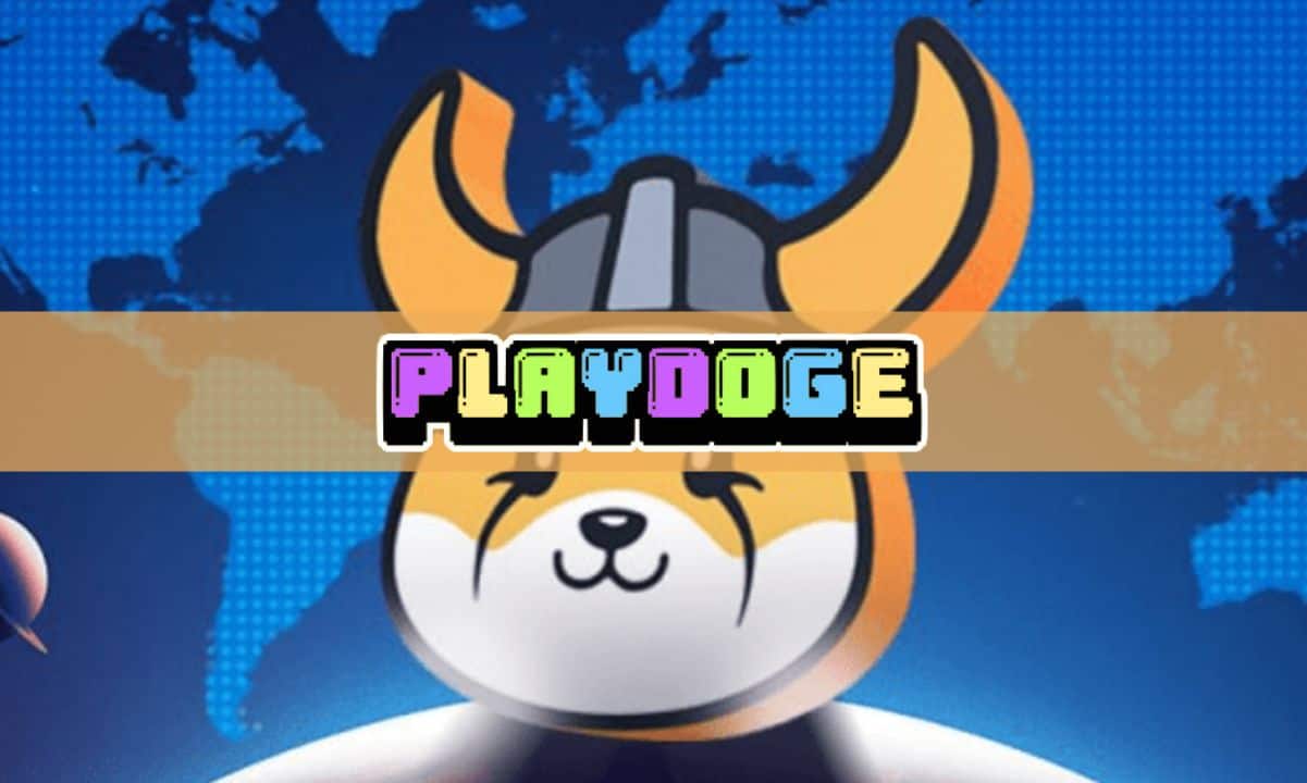 Playdoge-ico-to-end-in-3-days-after-raising-over-$6m-–-could-play-be-the-next-floki?