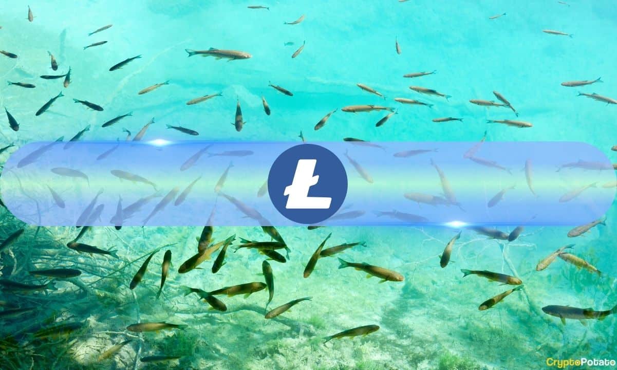 Small-litecoin-(ltc)-fishes-are-‘jumping-ship,’-here’s-what-it-means