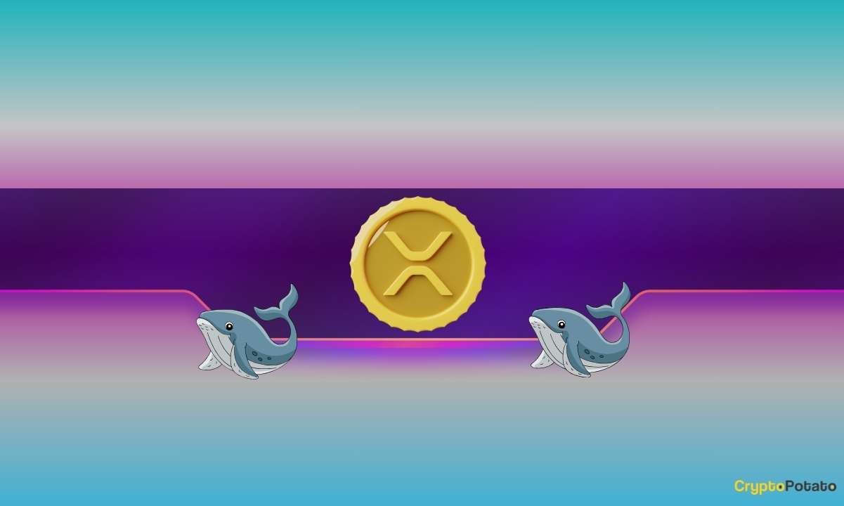 Ripple-whales-on-the-move:-is-xrp-price-rally-on-the-horizon?