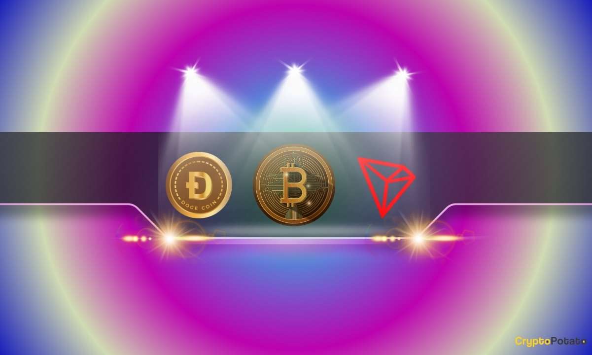 Tron-(trx)-and-dogecoin-(doge)-placed-in-this-prestigious-ranking:-details