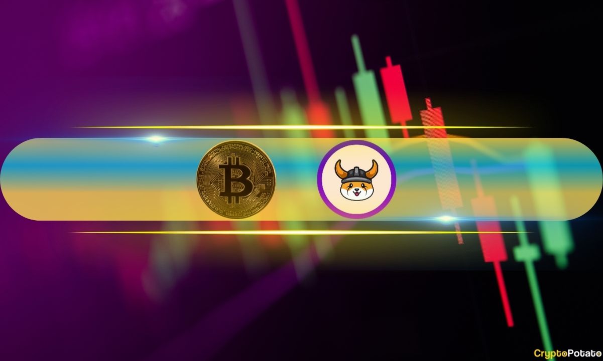 Bitcoin-price-stopped-at-$61k,-floki-dumps-19%-daily-(market-watch)