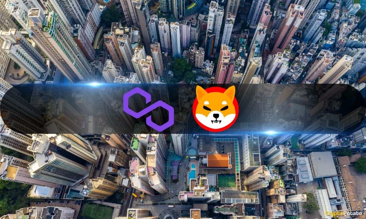 Centralization-threats-loom-as-polygon-and-shiba-inu-exhibit-high-concentration-among-top-wallets