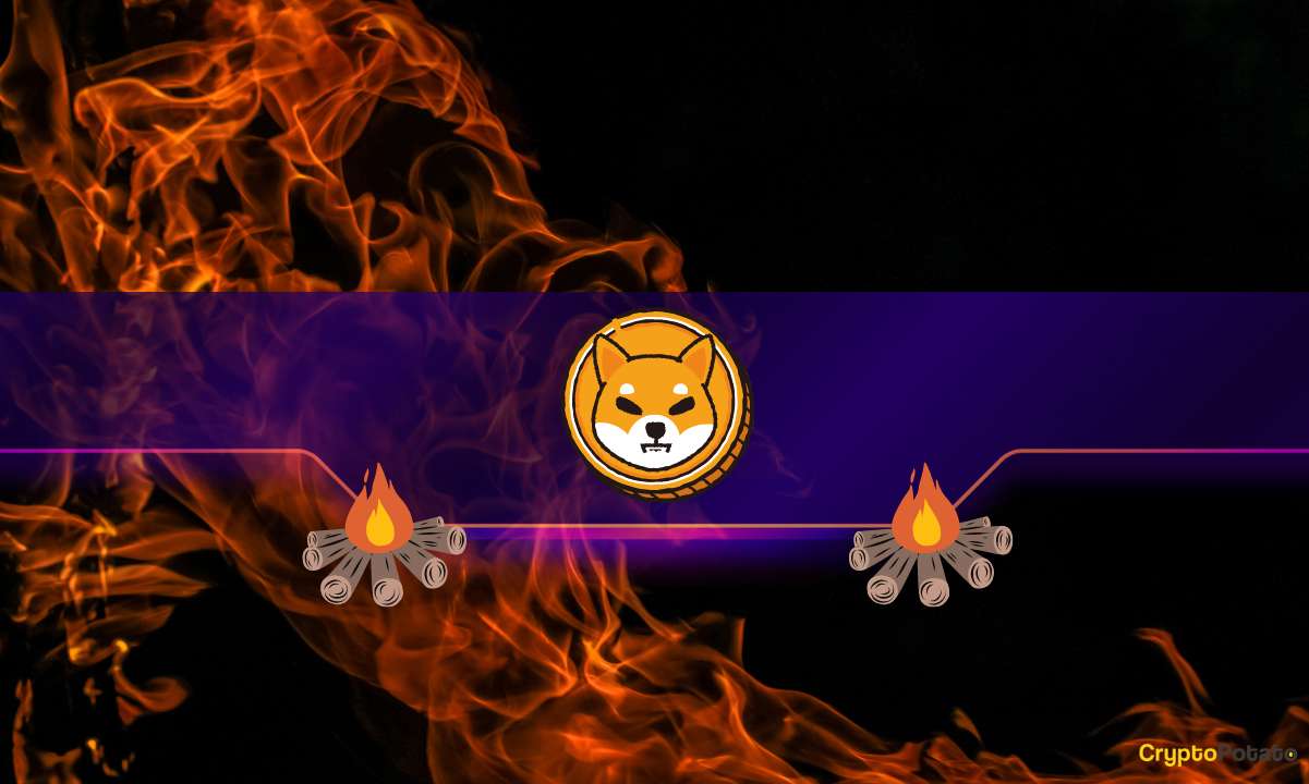 This-is-how-many-shiba-inu-(shib)-tokens-were-burned-in-august