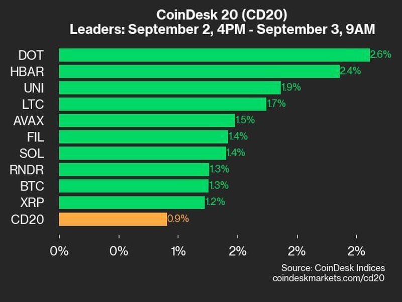 Coindesk-20-performance-update:-dot-and-hbar-outperform-as-index-rises-0.9%