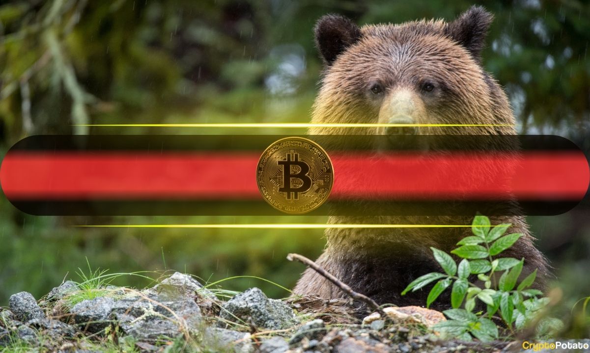 Attack-of-the-bears:-analysts-paint-bleak-short-term-bitcoin-price-predictions