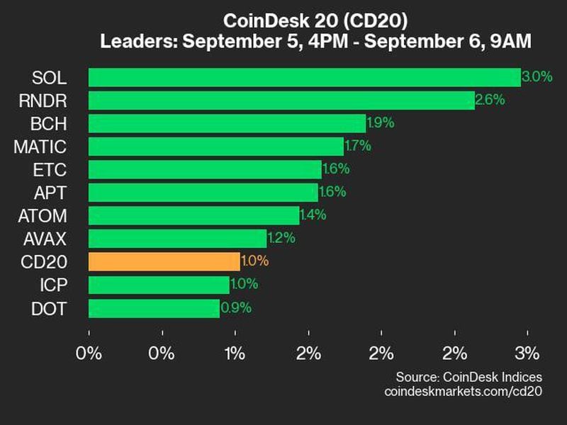 Coindesk-20-performance-update:-sol-jumps-3.0%-as-index-rallies