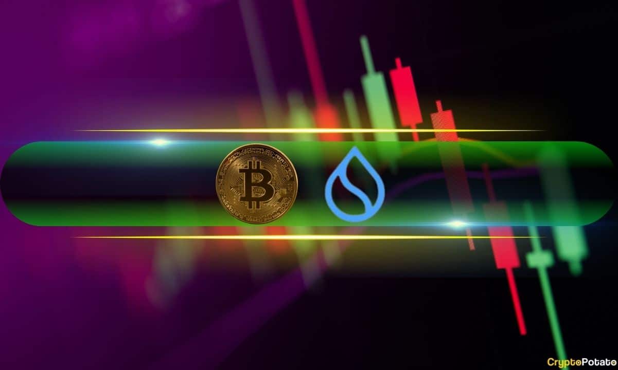 Bitcoin-price-reclaims-$54k-level,-sui-explodes-11%-daily-(weekend-watch)