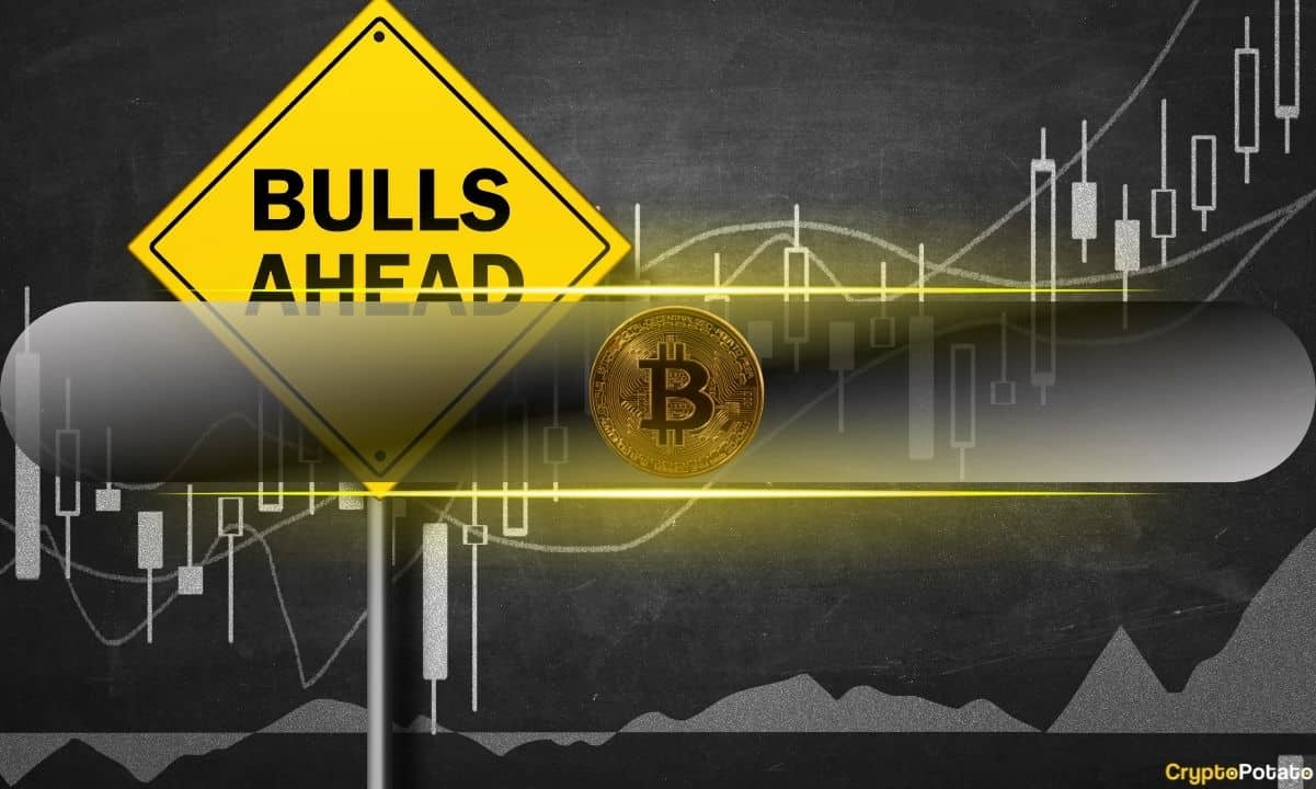 Bull-market-still-intact,-analysts-and-traders-unfazed-by-the-bitcoin-price-dip