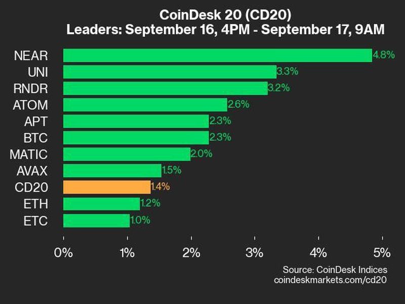 Coindesk-20-performance-update:-near-gains-4.8%-as-index-rallies