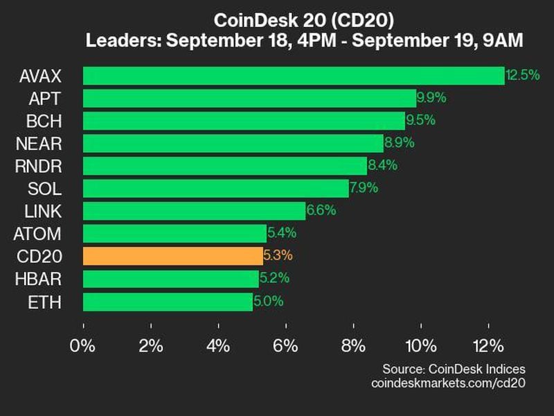 Coindesk-20-performance-update:-index-surges-5.3%-with-all-assets-in-the-green