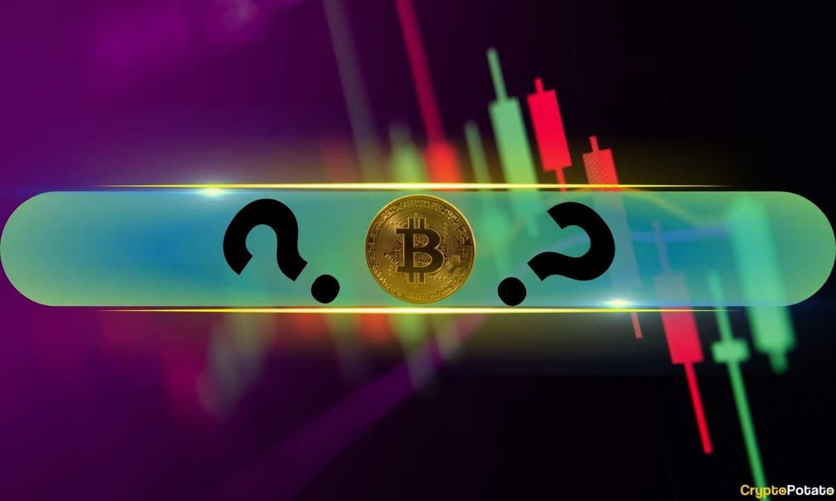 These-are-this-week’s-top-performers-as-bitcoin-(btc)-calms-at-$63k-(market-watch)