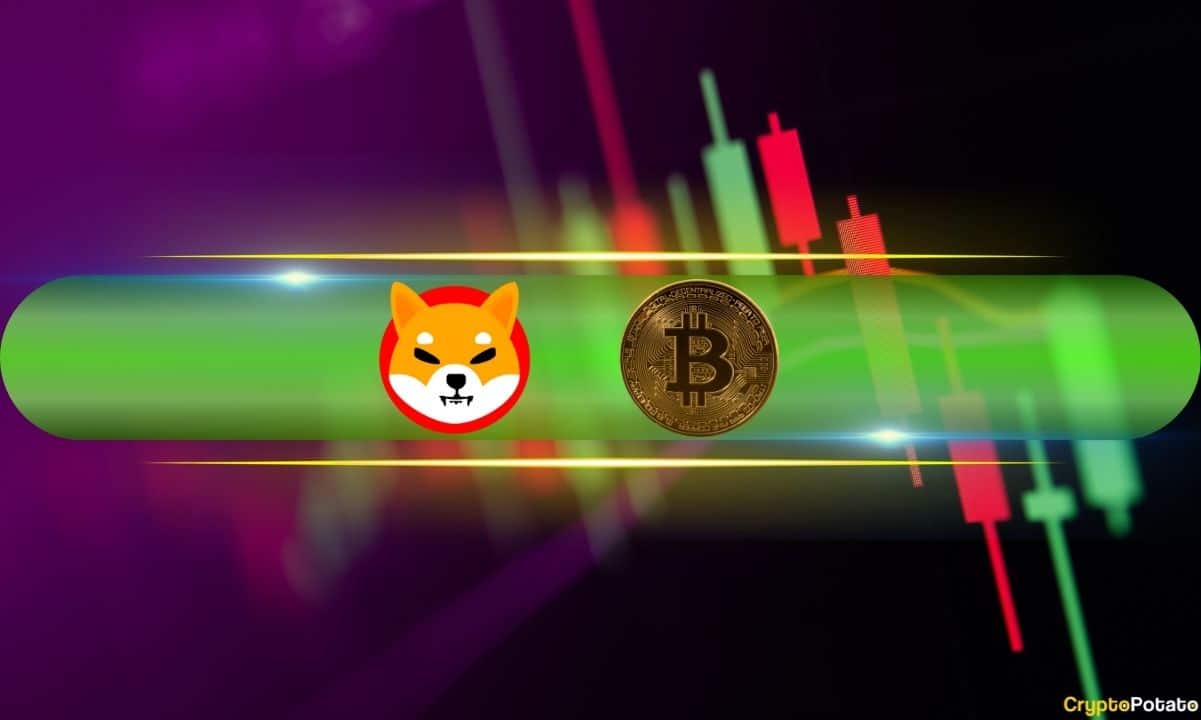 Shib,-pepe-post-major-daily-gains,-btc-price-recovers-from-sub-$63k-dip-(market-watch)