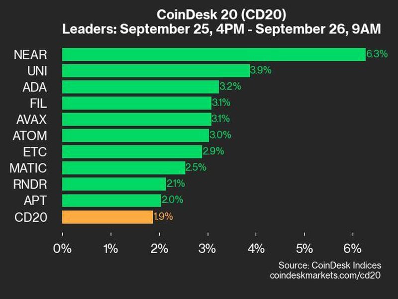 Coindesk-20-performance-update:-near-leaps-6.3%-as-all-assets-rise