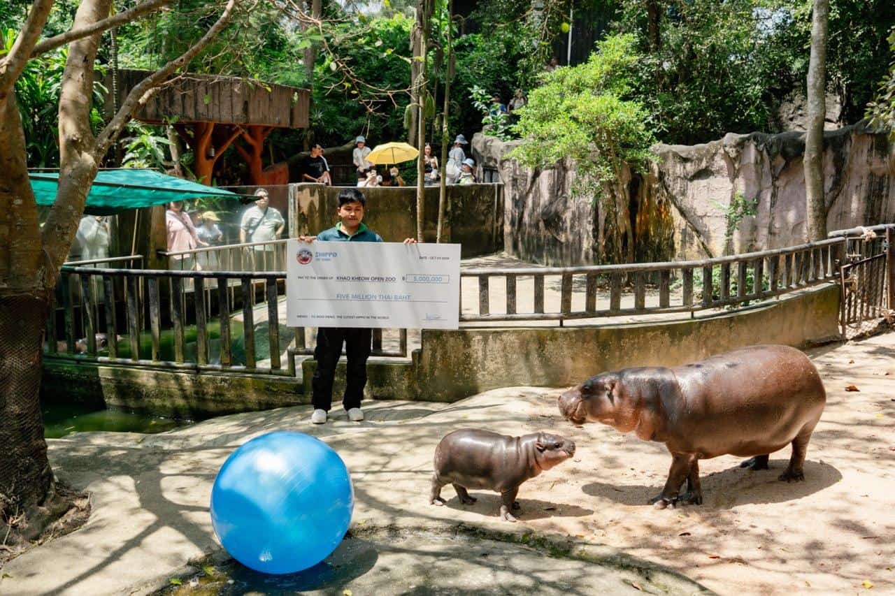 Sui-meme-$hippo-enters-into-charity-partnership-with-moo-deng’s-zoo