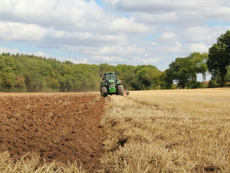 Scroll-airdrop-allocation-met-with-dismay-from-farmers