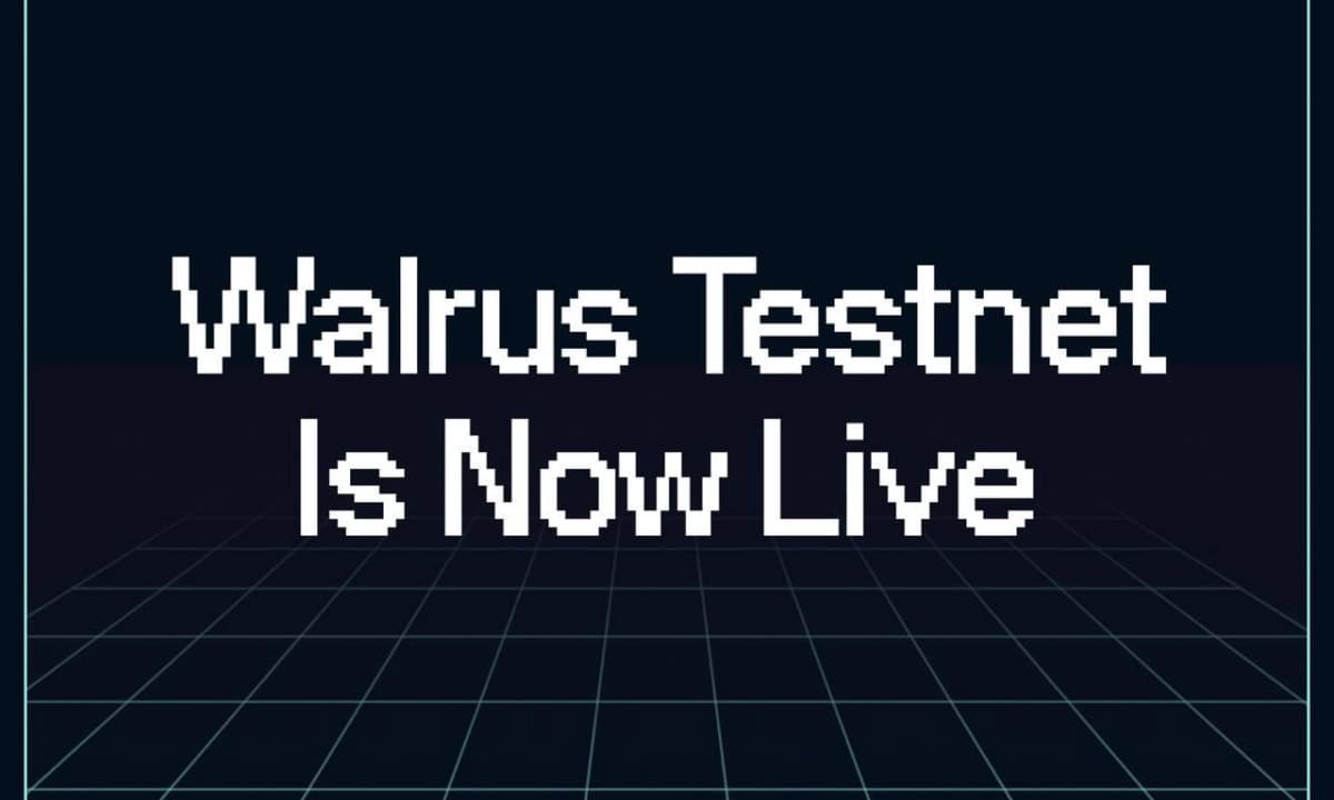 Decentralized-storage-protocol-walrus-launches-public-testnet