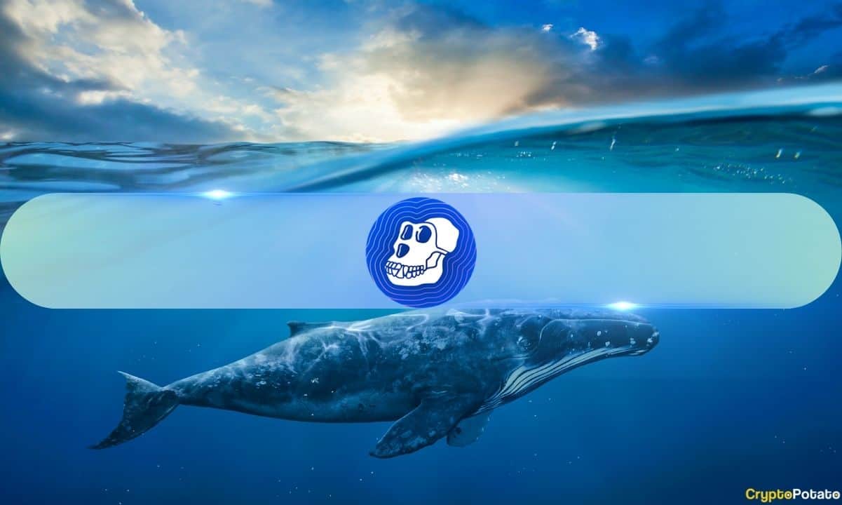 2,100%-surge-in-whale-apecoin-transactions,-what-about-ape’s-price?