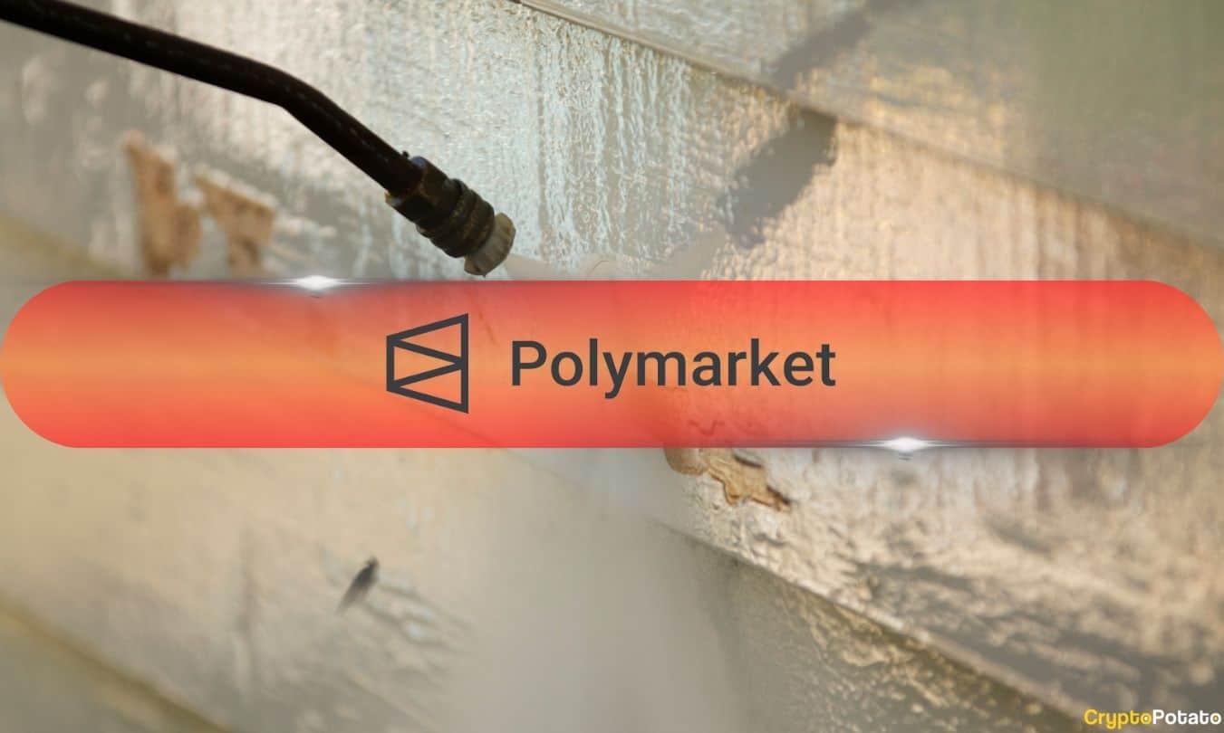 Polymarket-election-betting-rife-with-wash-trading:-report