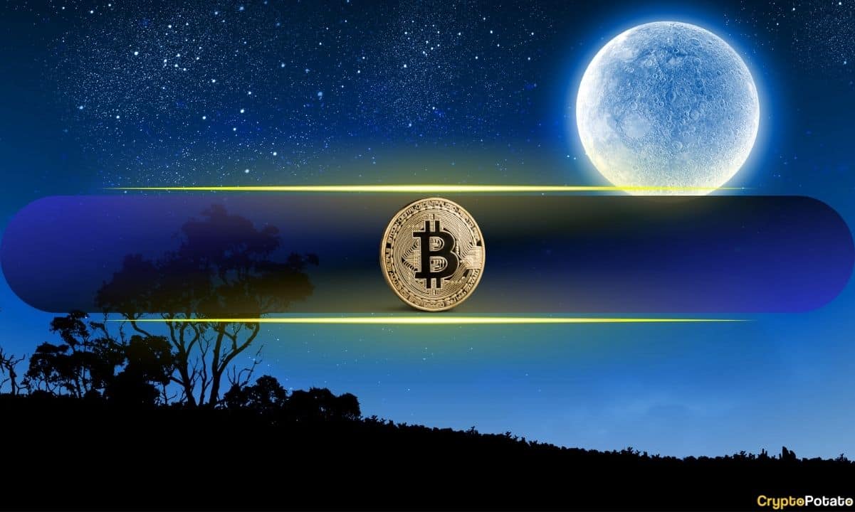 Bitcoin-in-‘euphoria-zone’-hits-ath-of-$81,800-after-$14,000-weekly-gain