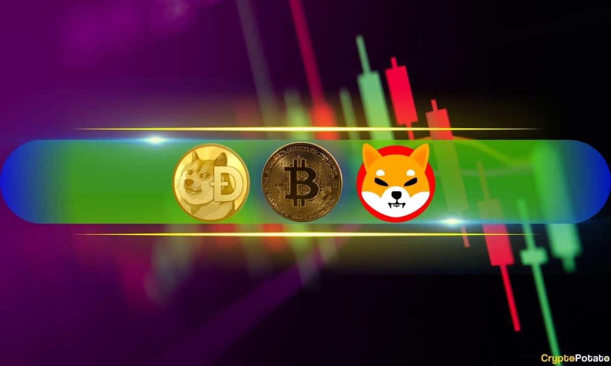 Doge,-shib-explode-by-double-digits,-btc-charts-a-fresh-peak-close-to-$82k-(market-watch)