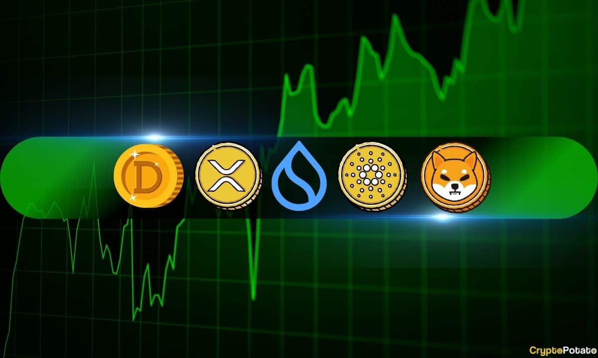 Crypto-price-analysis-november-15:-xrp,-ada,-doge,-shib,-and-sui