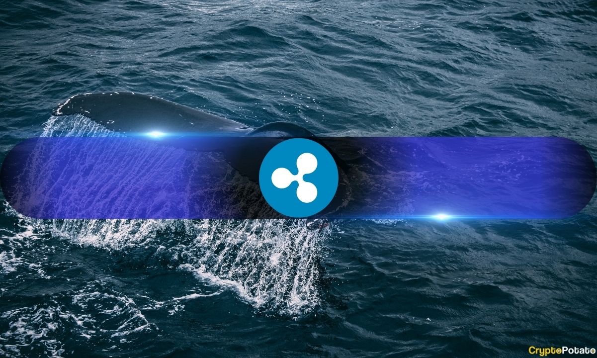 What’s-going-on?-ripple-whales-holding-over-1m-xrp-at-6-year-high