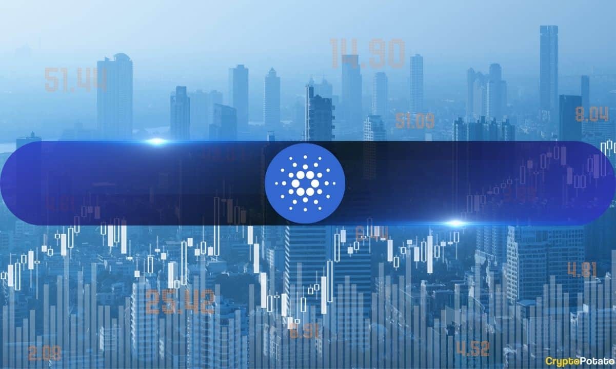 Cardano-foundation-releases-2023-financial-report,-unveils-expenses-across-3-major-areas