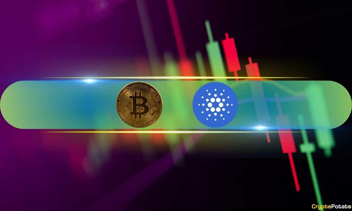 Cardano-(ada)-soars-by-14%,-bitcoin-(btc)-remains-above-$93k-after-new-ath-(market-watch)