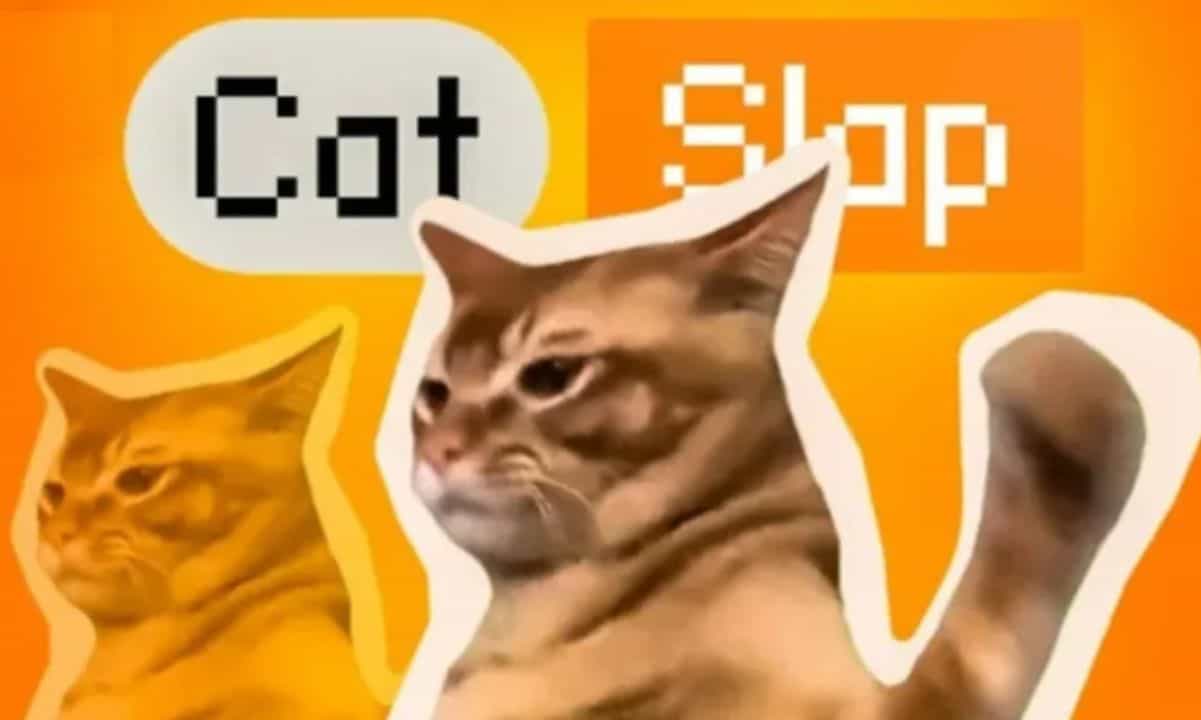 New-meme-coin-catslap-rises-120%-as-jump-trading-invests-$900k-–-cex-listing-in-1-day