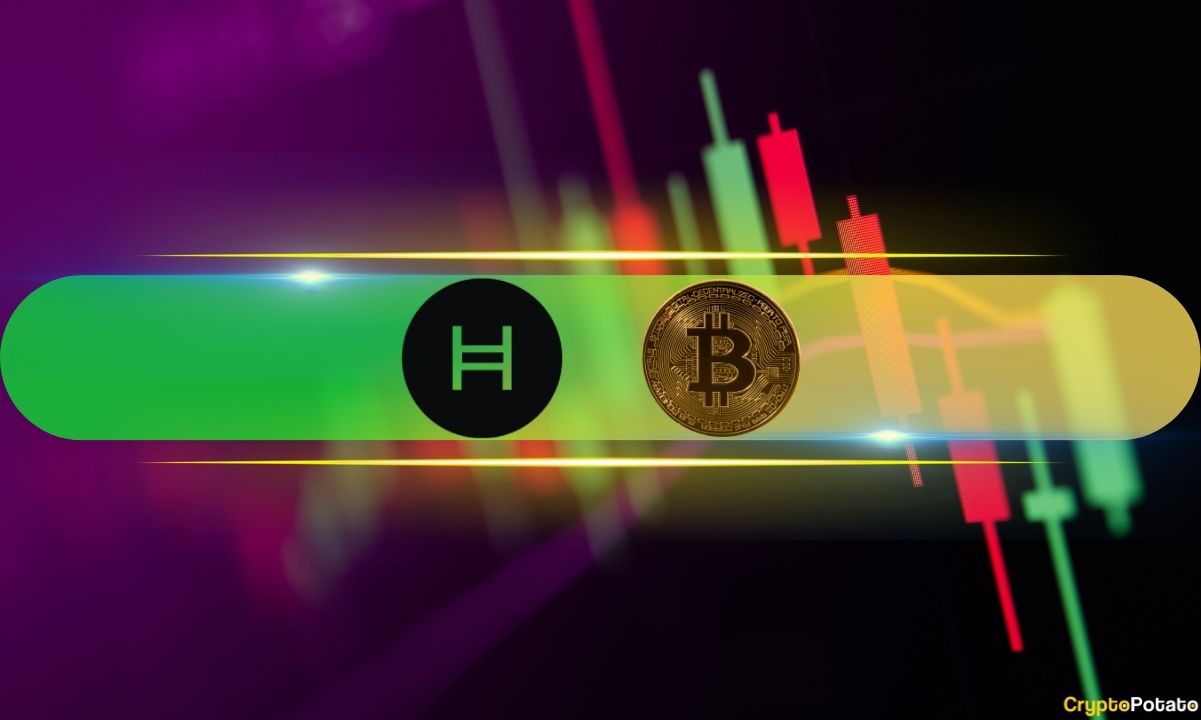 Hbar-skyrockets-by-20%-daily,-btc-price-flirts-with-$100k-(weekend-watch)