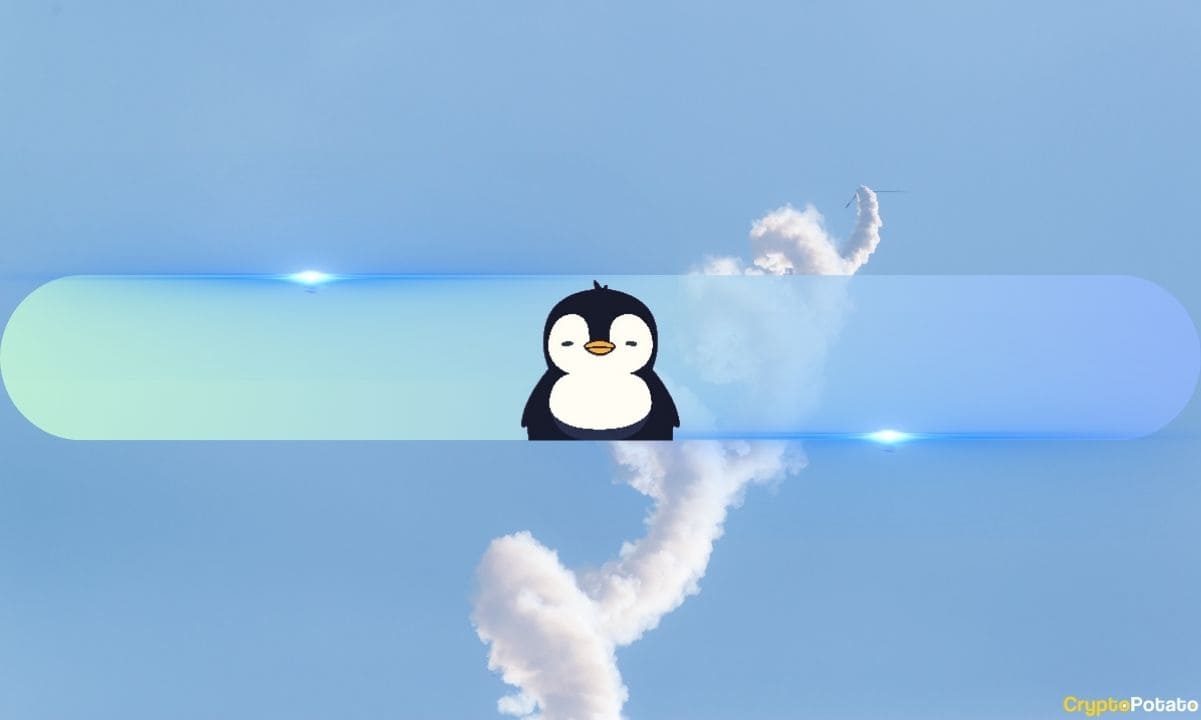 Pengu-overtakes-bonk,-becomes-top-meme-coin-on-solana-at-$2.6b-valuation