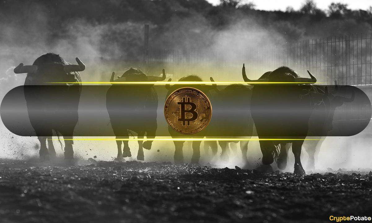 Bitcoin’s-(btc)-bull-market-remains-intact-amid-temporary-slowdown:-cq