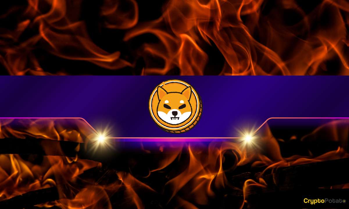 Shiba-inu-burn-rate-explodes-by-over-7,000%:-is-the-shib-price-ready-to-take-off?