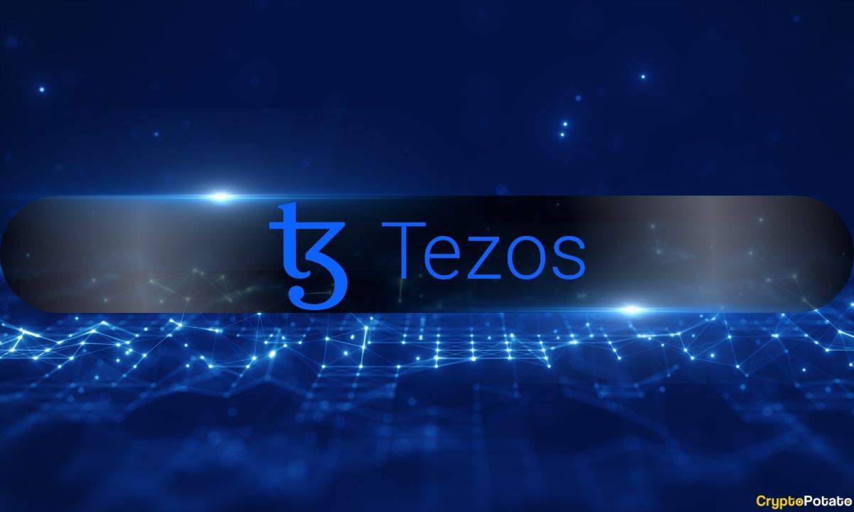 Tezos-sees-rising-revenue-but-declining-activity-as-users-shift-to-layer-2